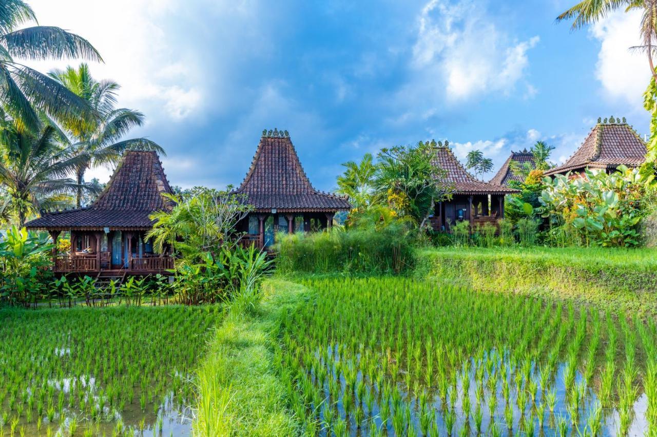 Villa Neyang Ubud  Exterior photo
