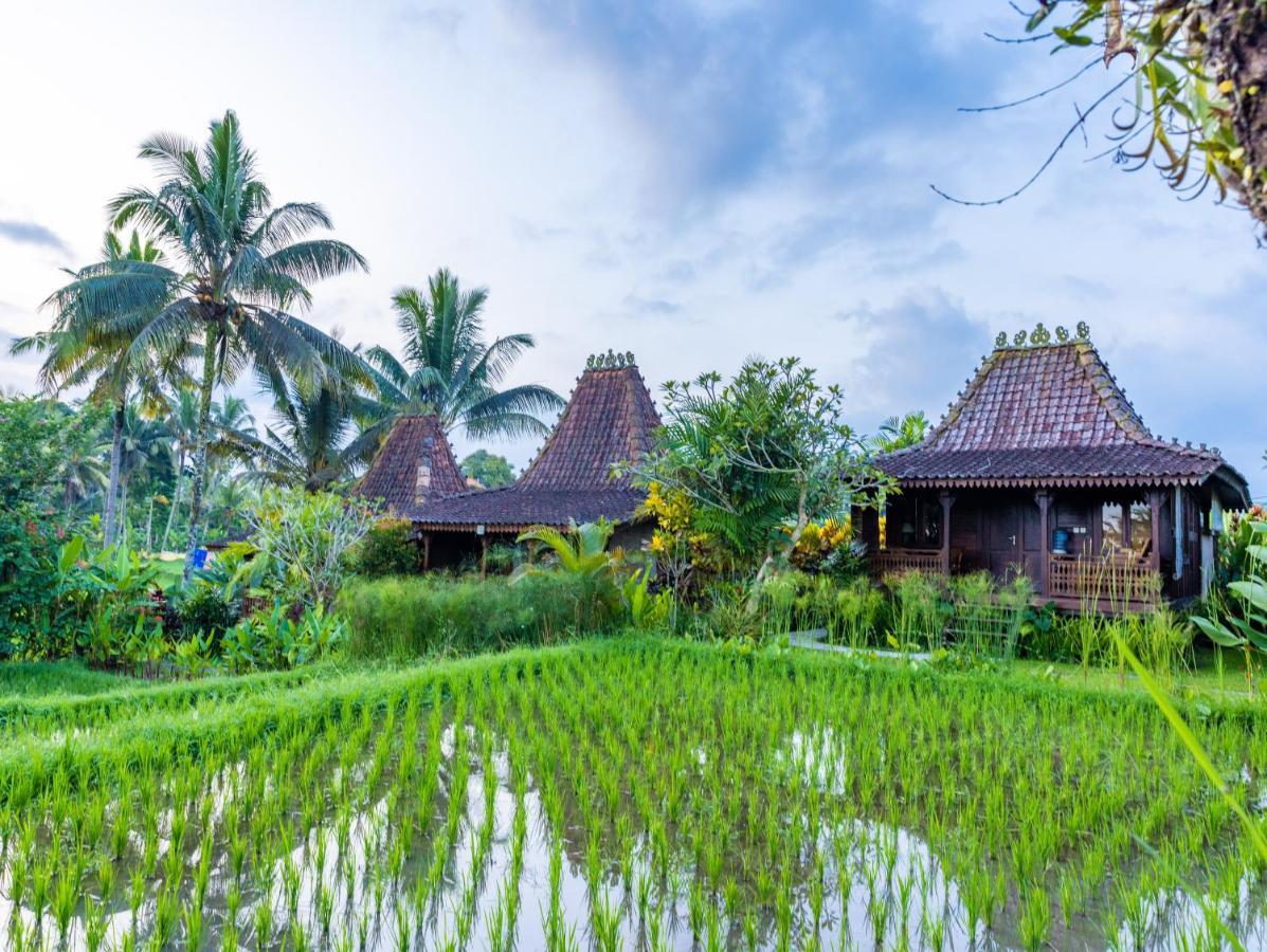 Villa Neyang Ubud  Exterior photo