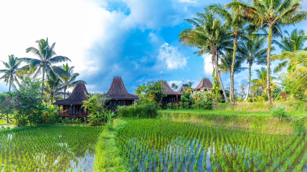 Villa Neyang Ubud  Exterior photo
