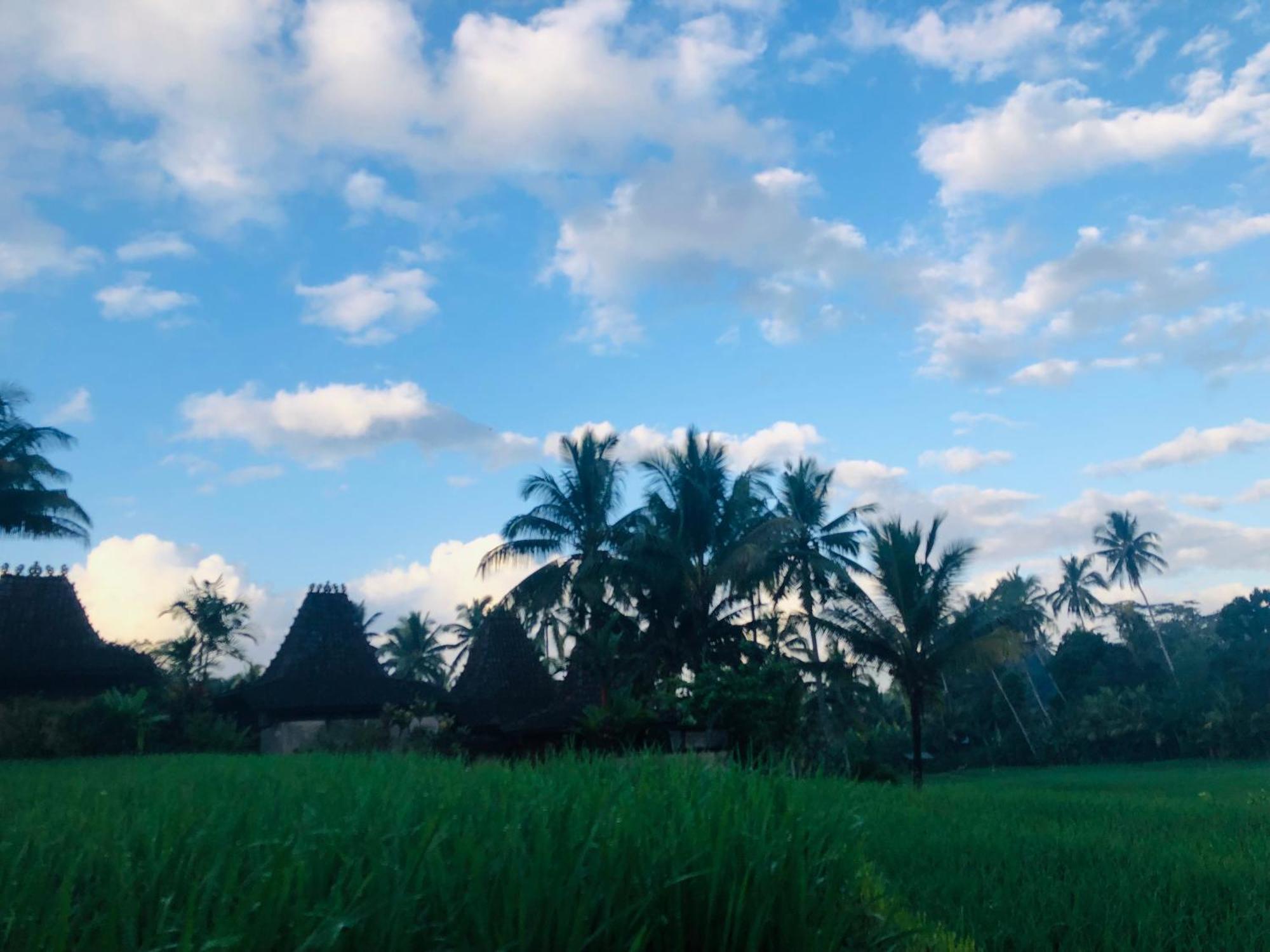 Villa Neyang Ubud  Exterior photo