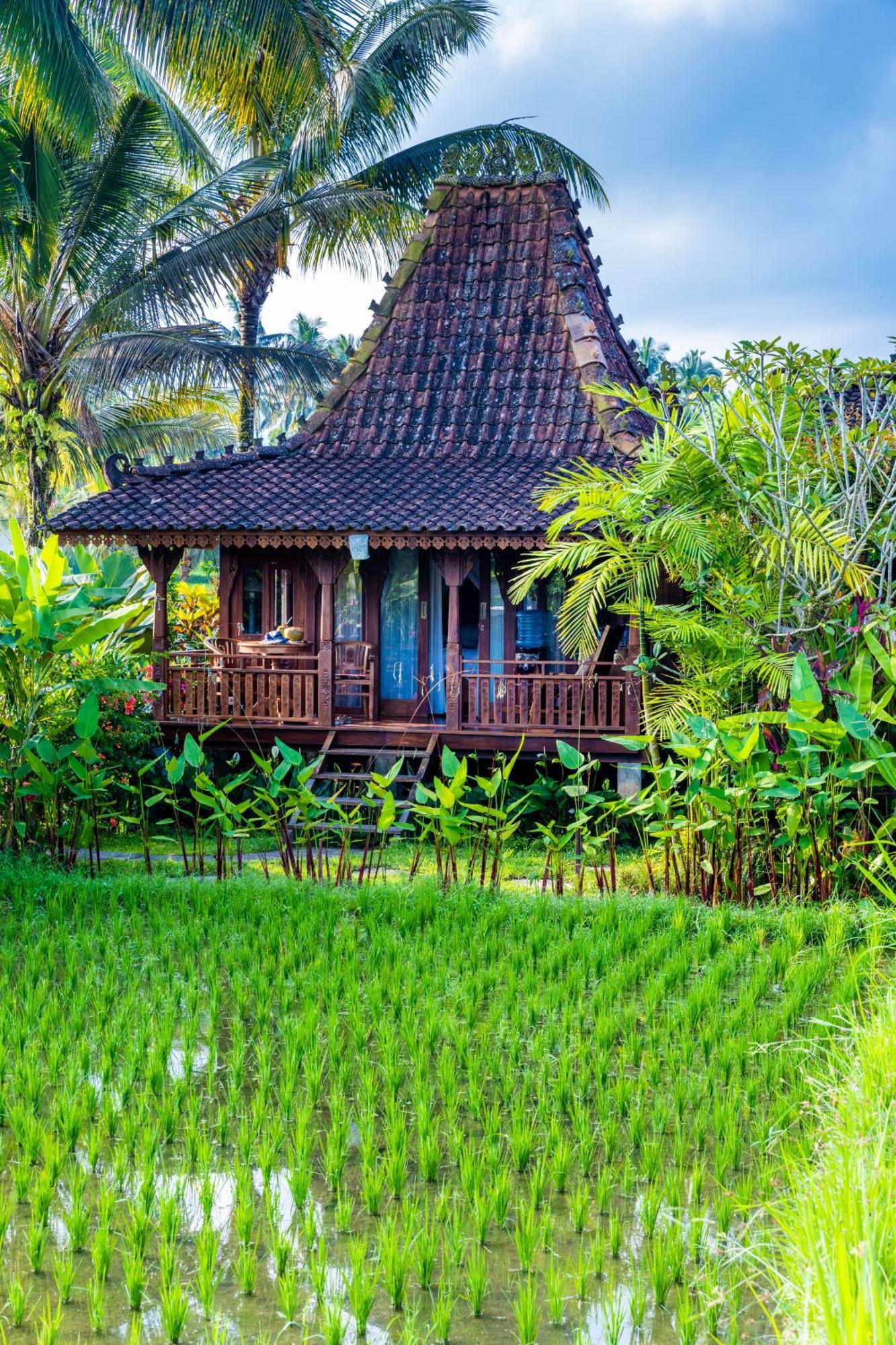 Villa Neyang Ubud  Exterior photo
