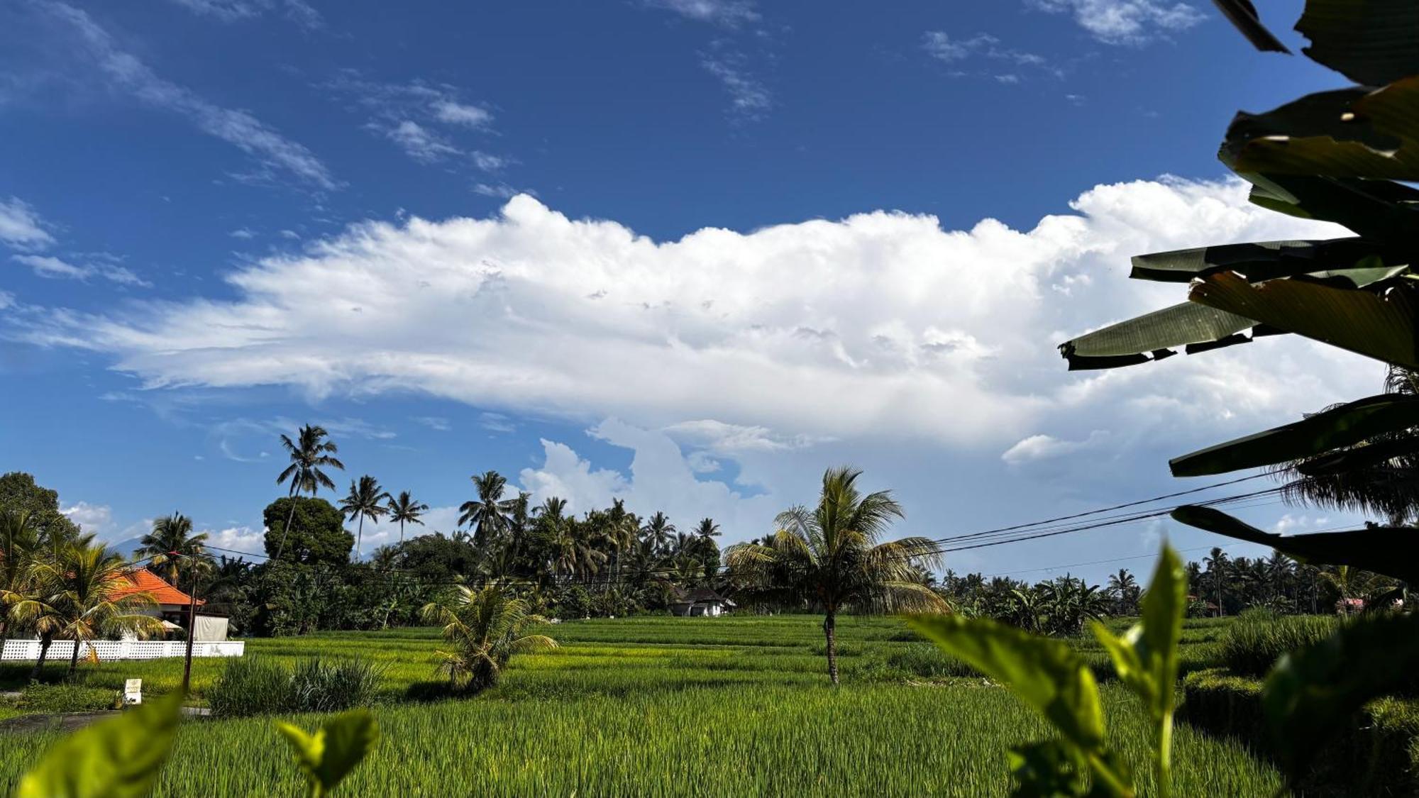 Villa Neyang Ubud  Exterior photo