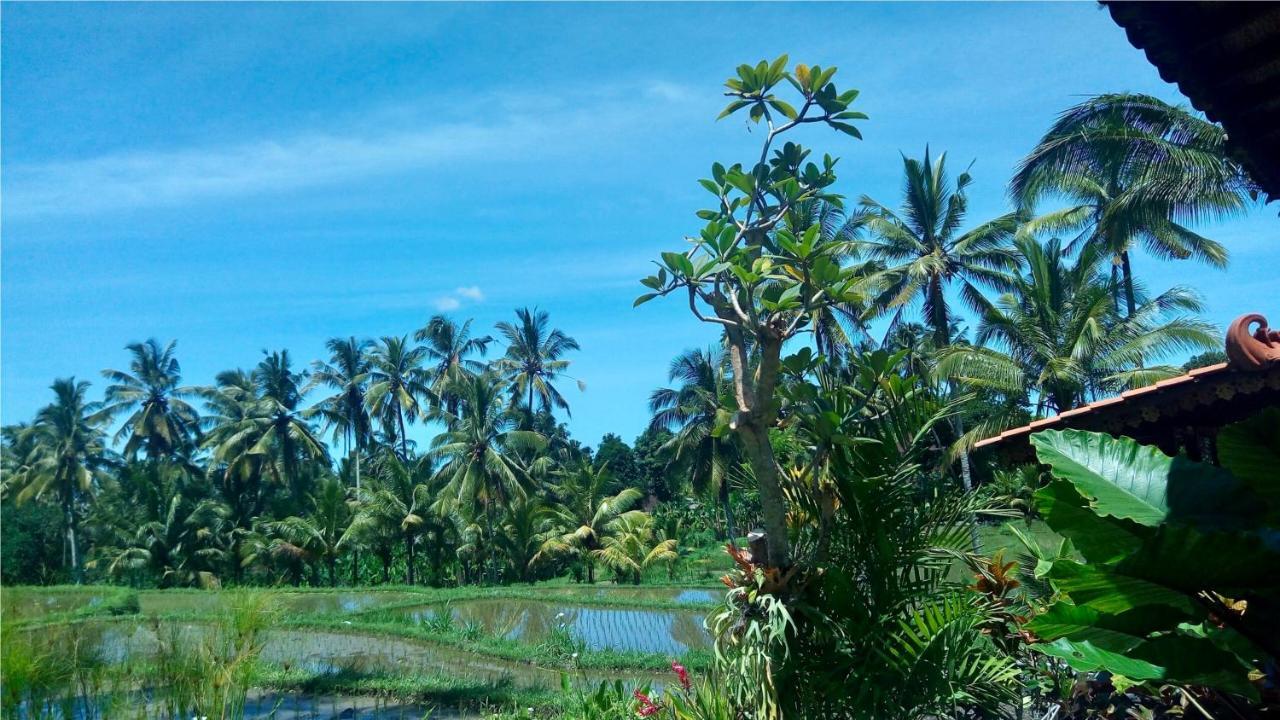 Villa Neyang Ubud  Exterior photo